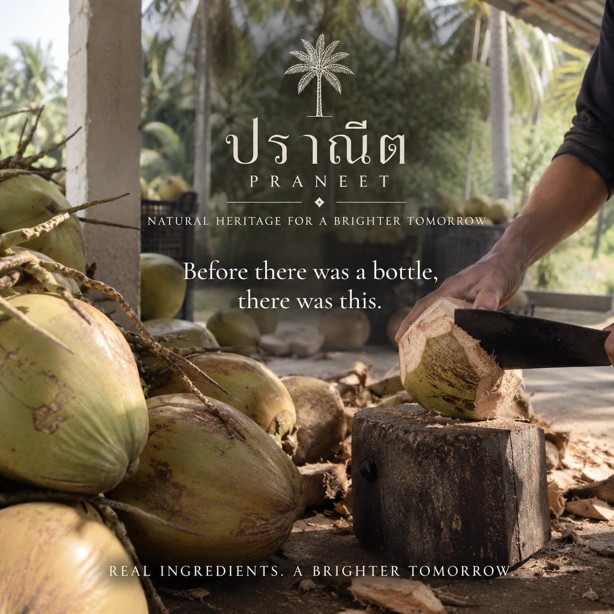 A worker cracking a fresh green coconut on a wooden stump at the Praphawan family plantation — piles of raw coconuts in the foreground, palm-shaded workshop beyond. Overlaid text reads: 'ปราณีต / Praneet · Natural heritage for a brighter tomorrow · Before there was a bottle, there was this. · Real ingredients. A brighter tomorrow.'